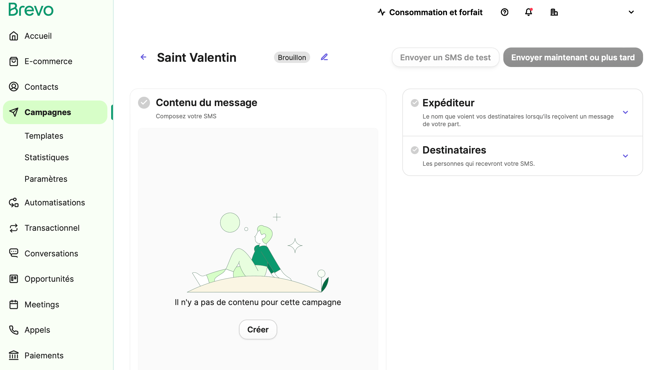 Interface Brevo SMS